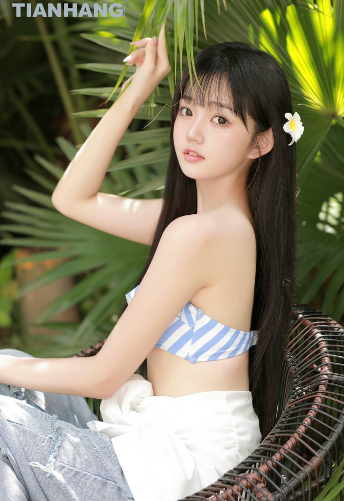 雍正王朝 封面