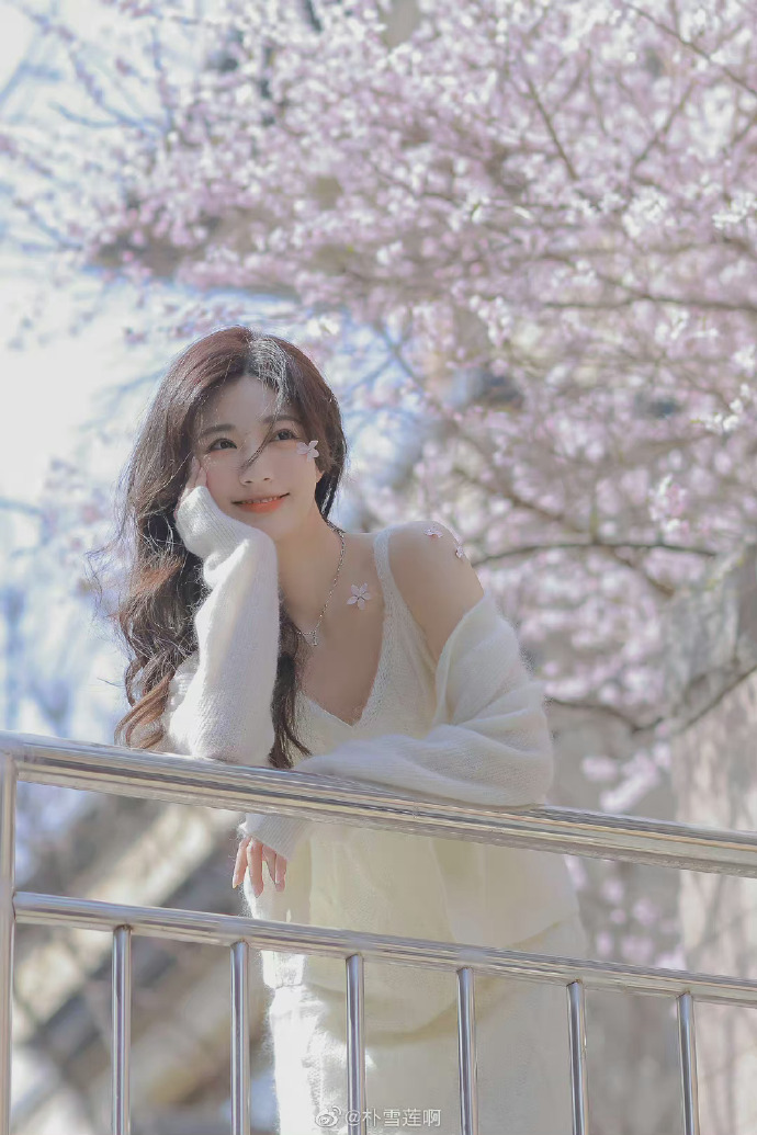 天官赐福 封面